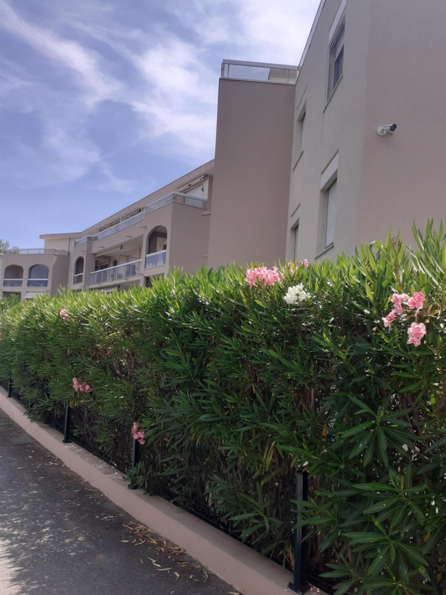 T2 Bord De Mer Avec Jardin Et Piscine Saint Aygulf Exterior foto